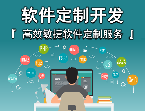 軟件定制