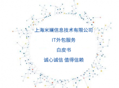 IT外包服務(wù)白皮書—上海米斕信息技術(shù)有限公司