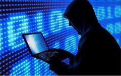 上海米斕信息介紹用于網(wǎng)絡(luò)布線的材料和工具的